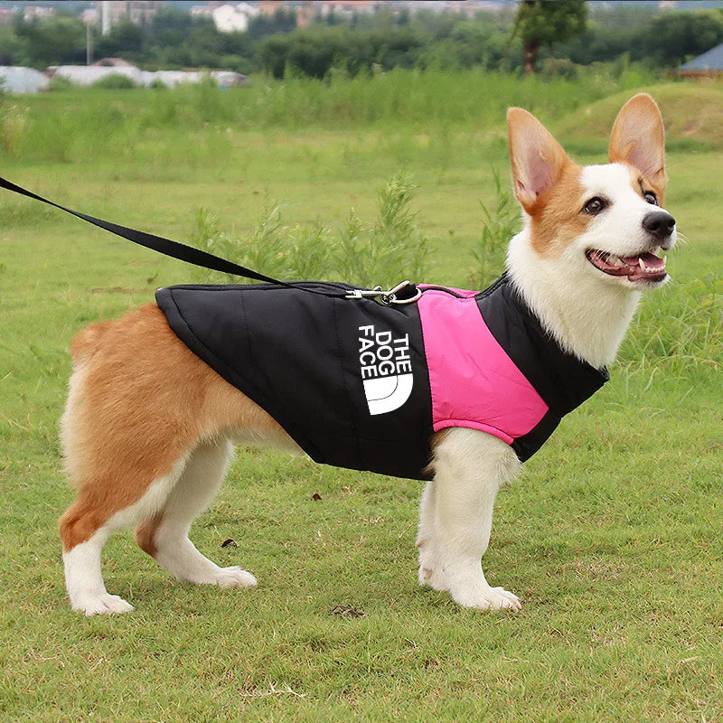 The Dog Face, Waterproof Warm Dog Jacket