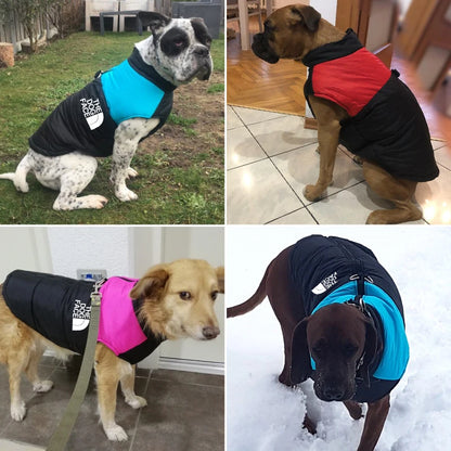 The Dog Face, Waterproof Warm Dog Jacket